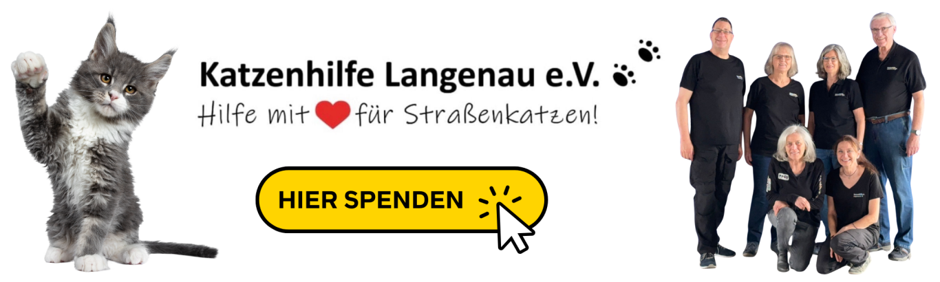 Logo der Katzenhilfe Langenau e.V. mit eine süßen Katze, einem Bild vom Vorstand und einem Spendenaufruf.